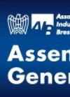 Assemblea Generale AIB 2013